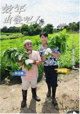 第九电影院综艺 厨房时间线 海报